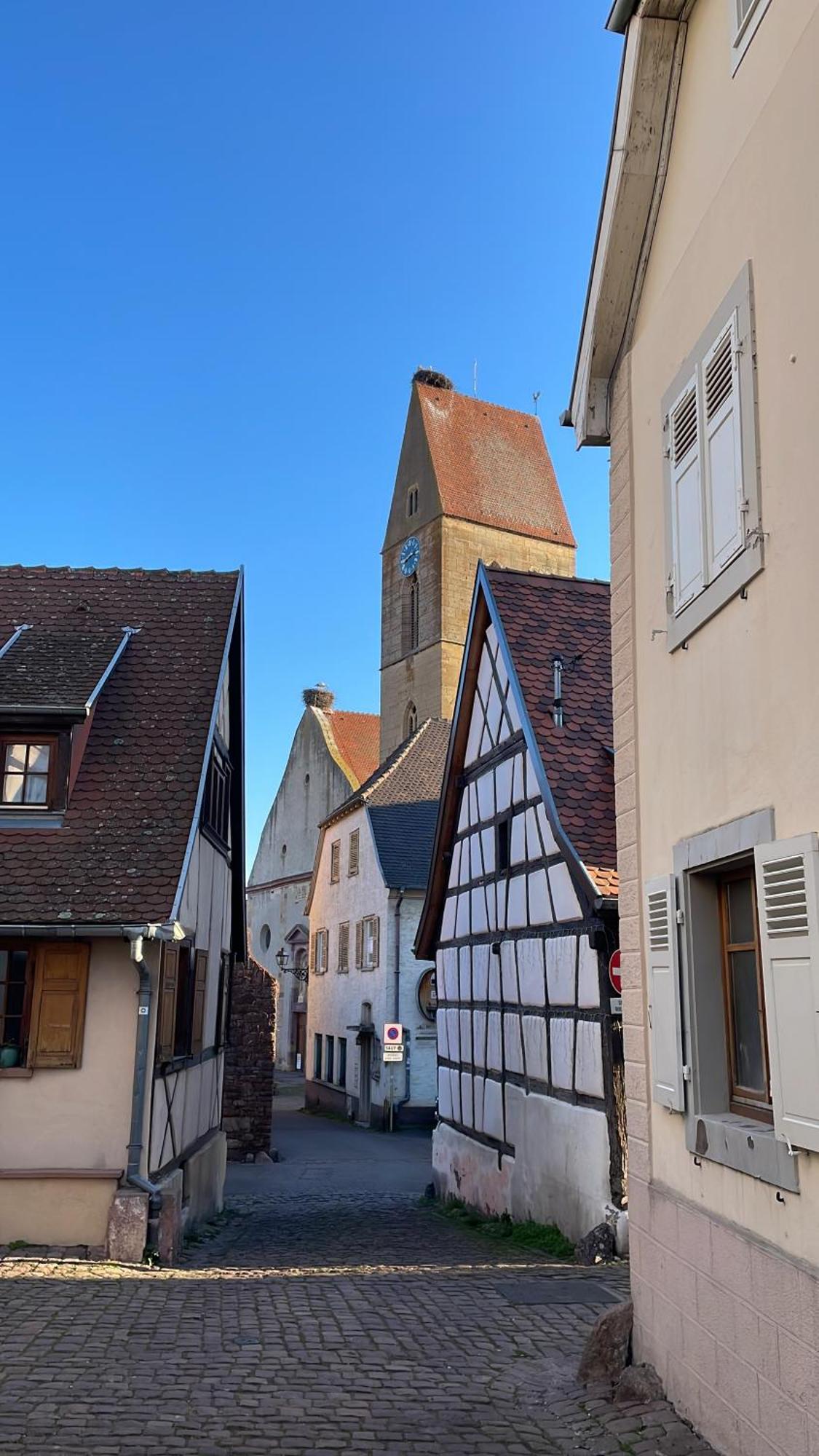 Appartement Le Ch'Ti Alsacien Eguisheim Bagian luar foto