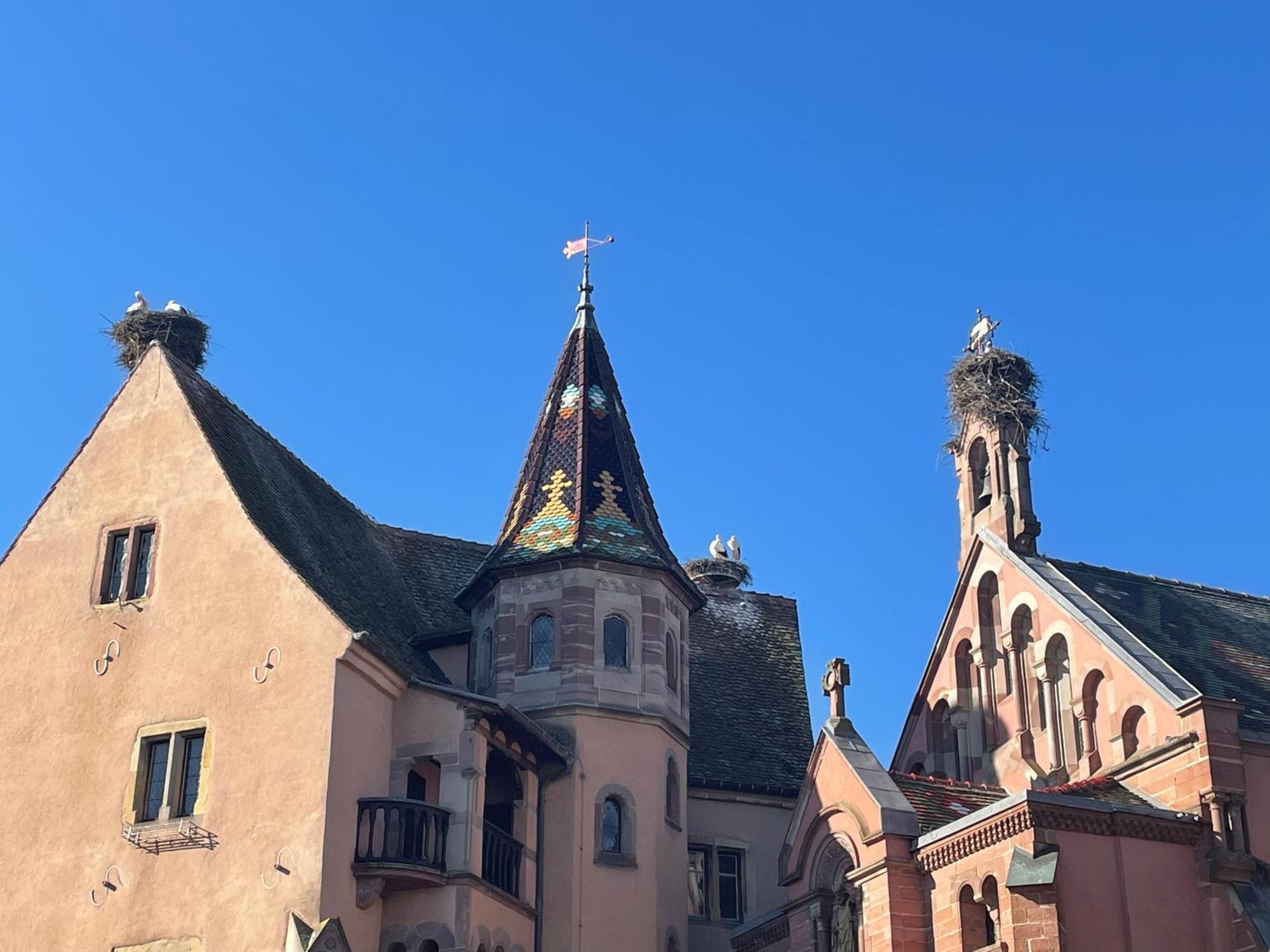 Appartement Le Ch'Ti Alsacien Eguisheim Bagian luar foto